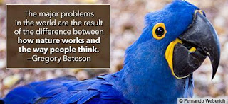 Funny Pictures Gallery: Environment quotes, positive work environment