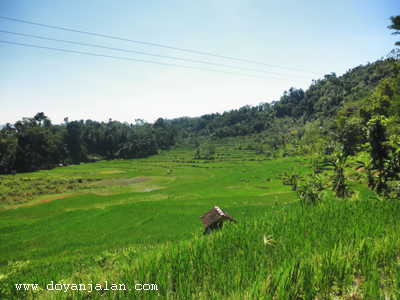 Wisata Curug Citambur