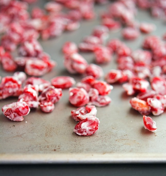 The Iron You YogurtCovered Cranberries (A Paleoish Snack)