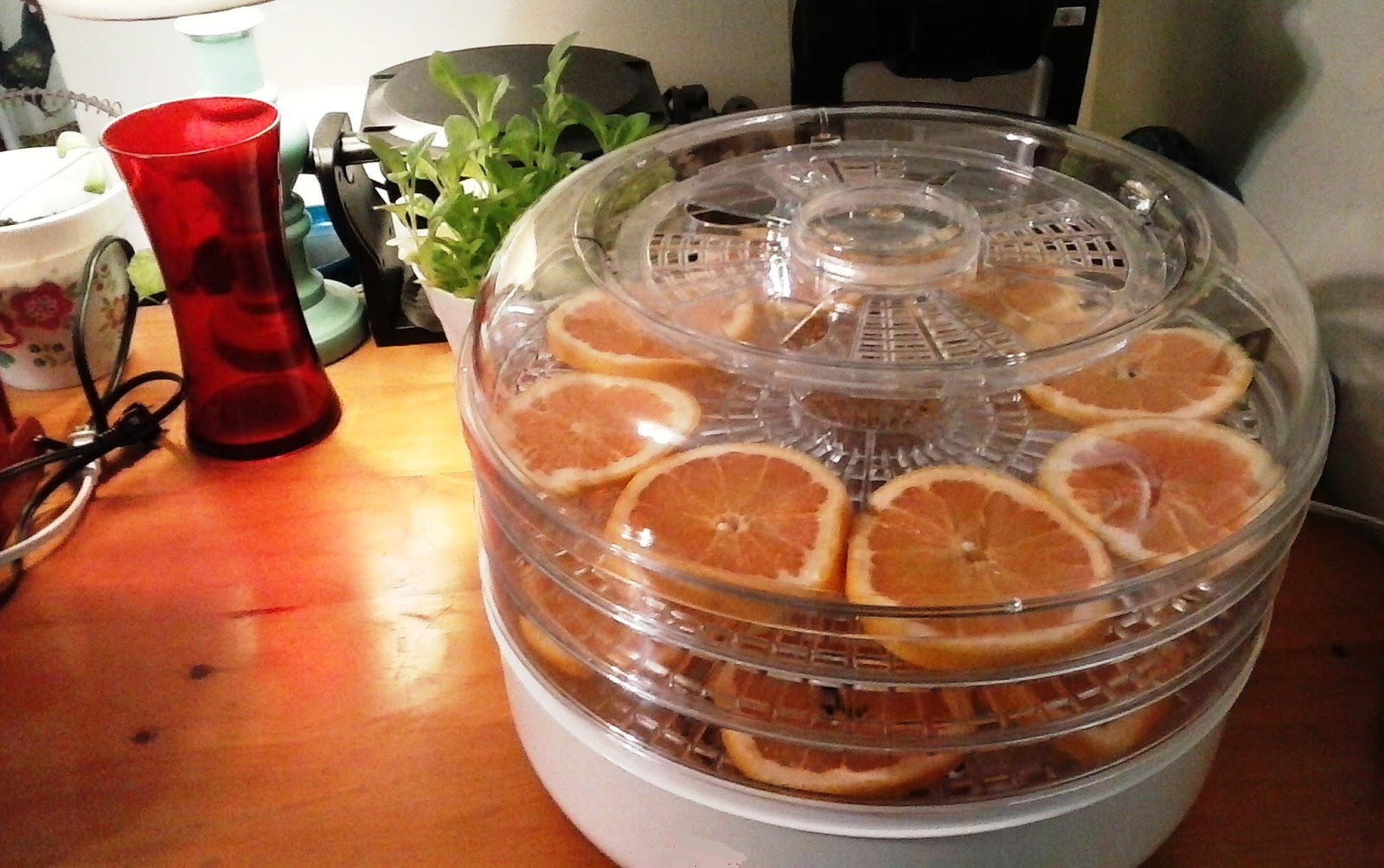 Homesteading Anywhere Making Soap and Dehydrating Fruit