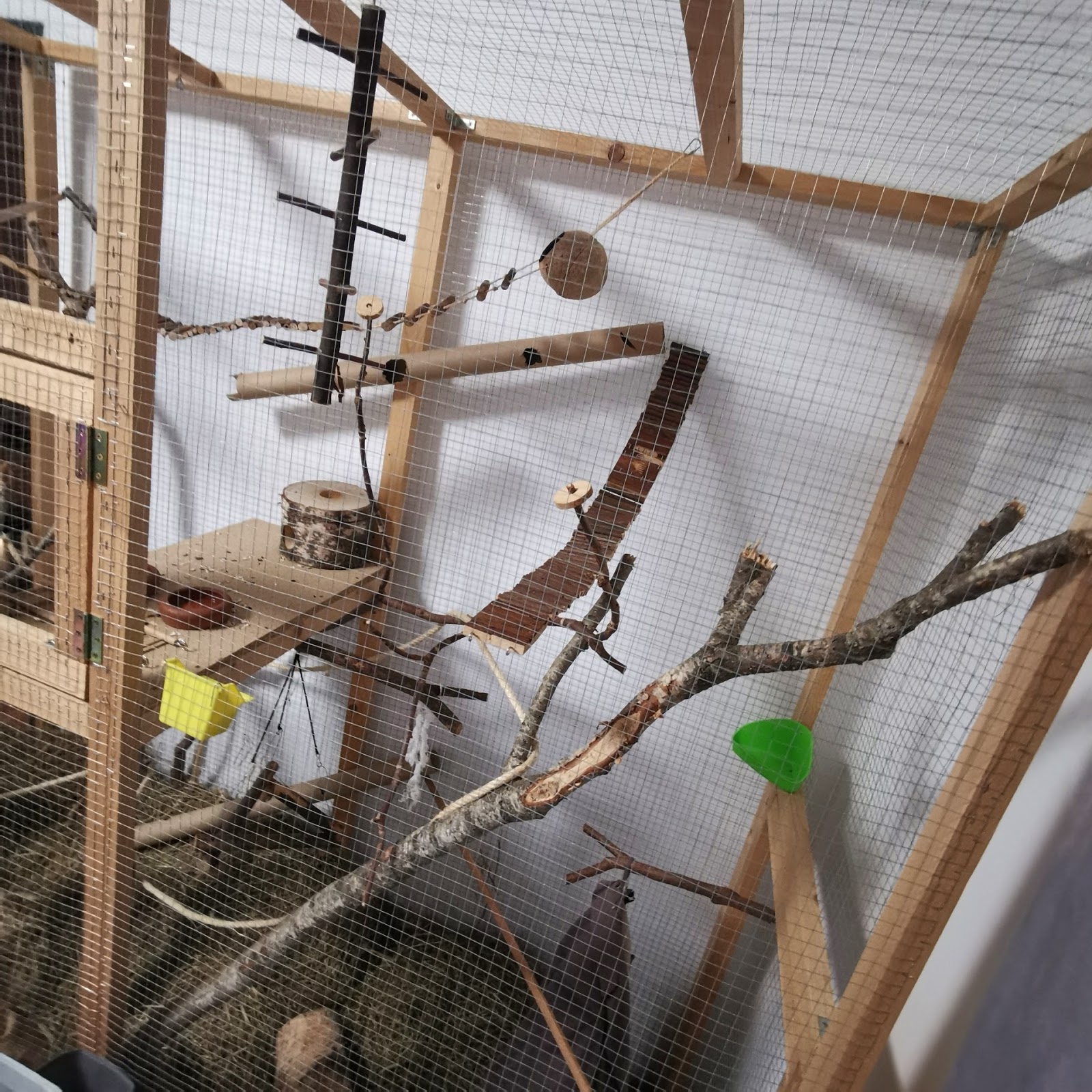 Screwston The Day Houston Died Rar Files