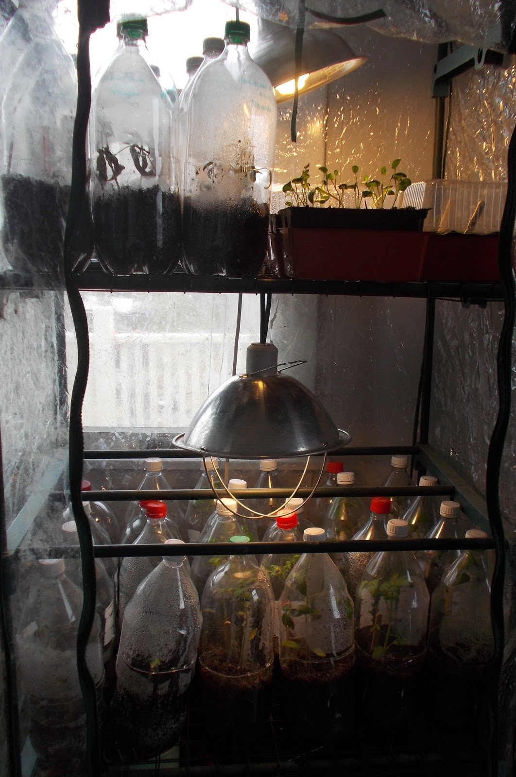 Lally Broch Farm: A Maine Family Homestead: Recycled Plastic Bottle