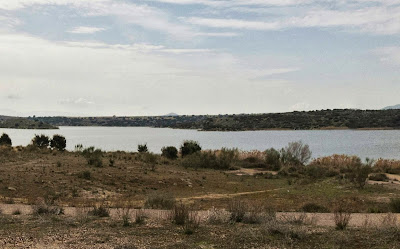 Orillas cerca de la presa de Guajaraz
