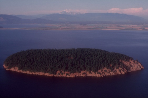 salish sea news and