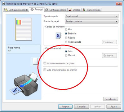 print in grayscale meaning