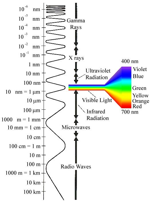 HEALTH COACH Radiation Poisoning Primer with Treatment Protocol