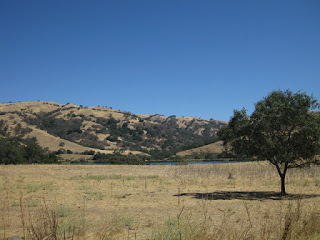 Grant Lake and golden, oak-studded hills, near Joseph Grant Park, Mt. Hamilton, California