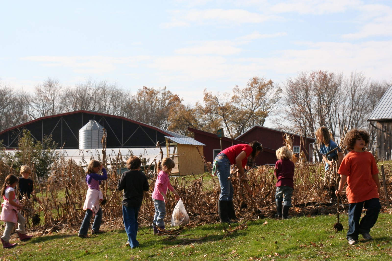 Hitchcock Center Homeschool Corn The "Amaizeing" Grain