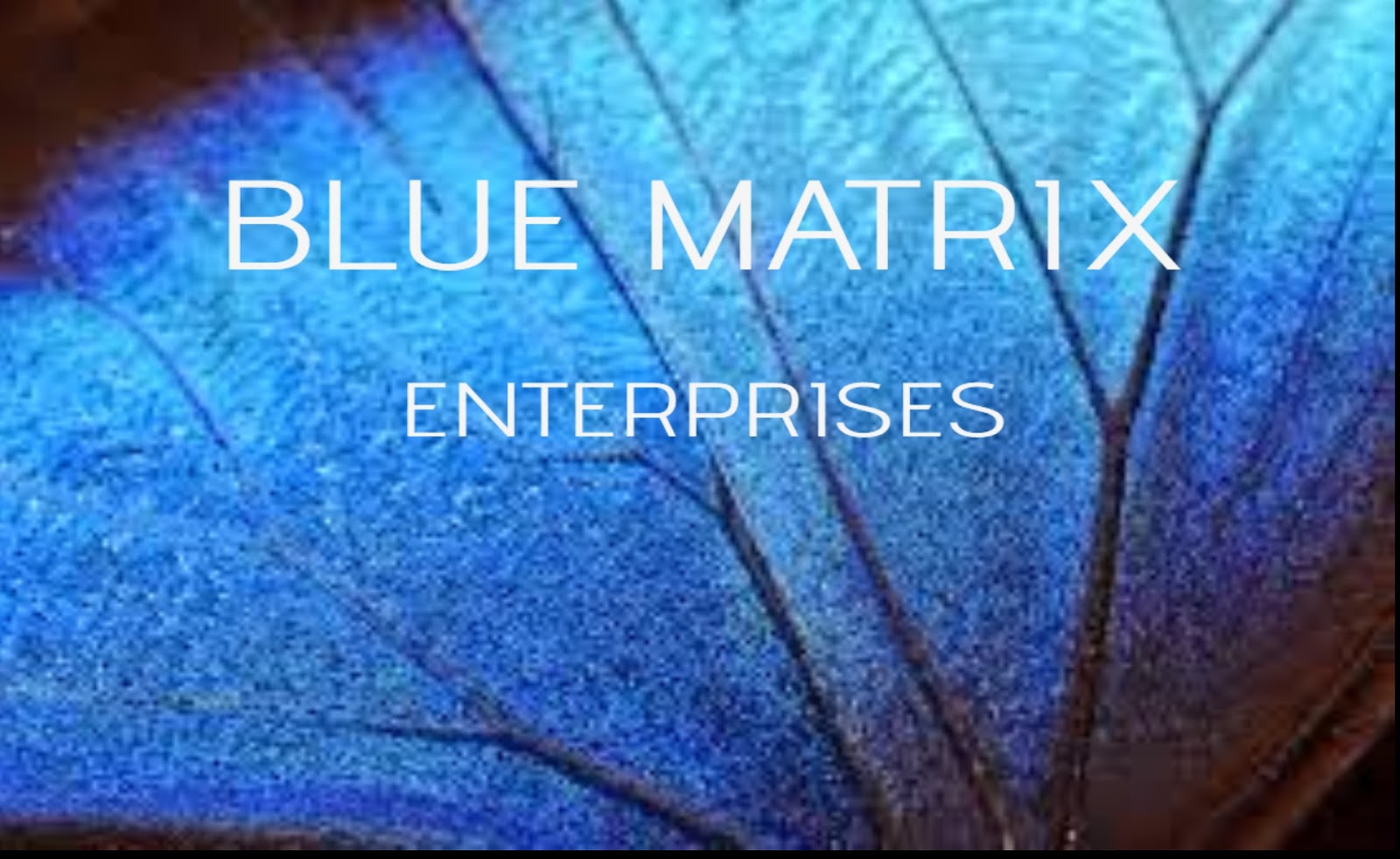 Starlight S Shopping Guide Blue Matrix Energetics Quantum Mind Tech Tools