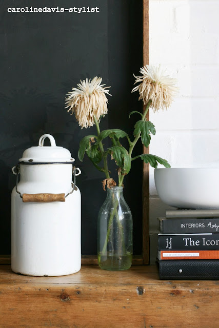 caroline davis stylist, trend daily blog, styling details, plants, behind the scenes