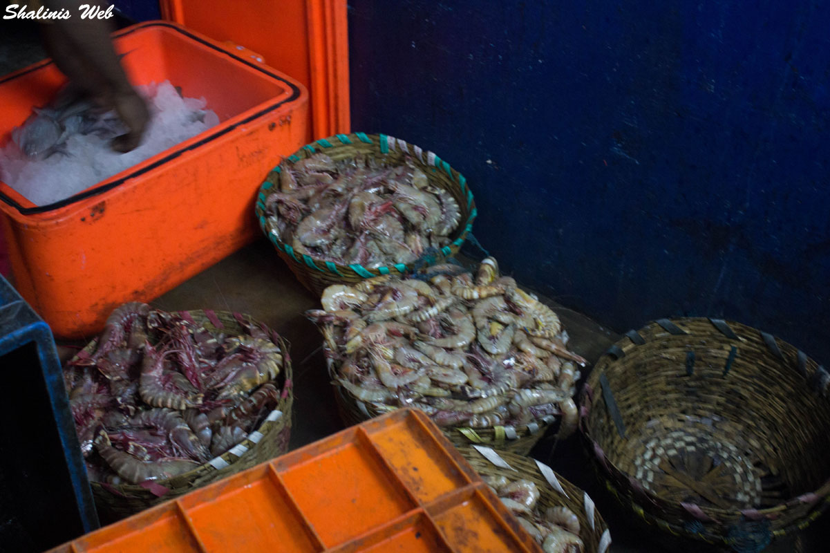 Shalini's  Fish MarketKasimedu ,Chennai