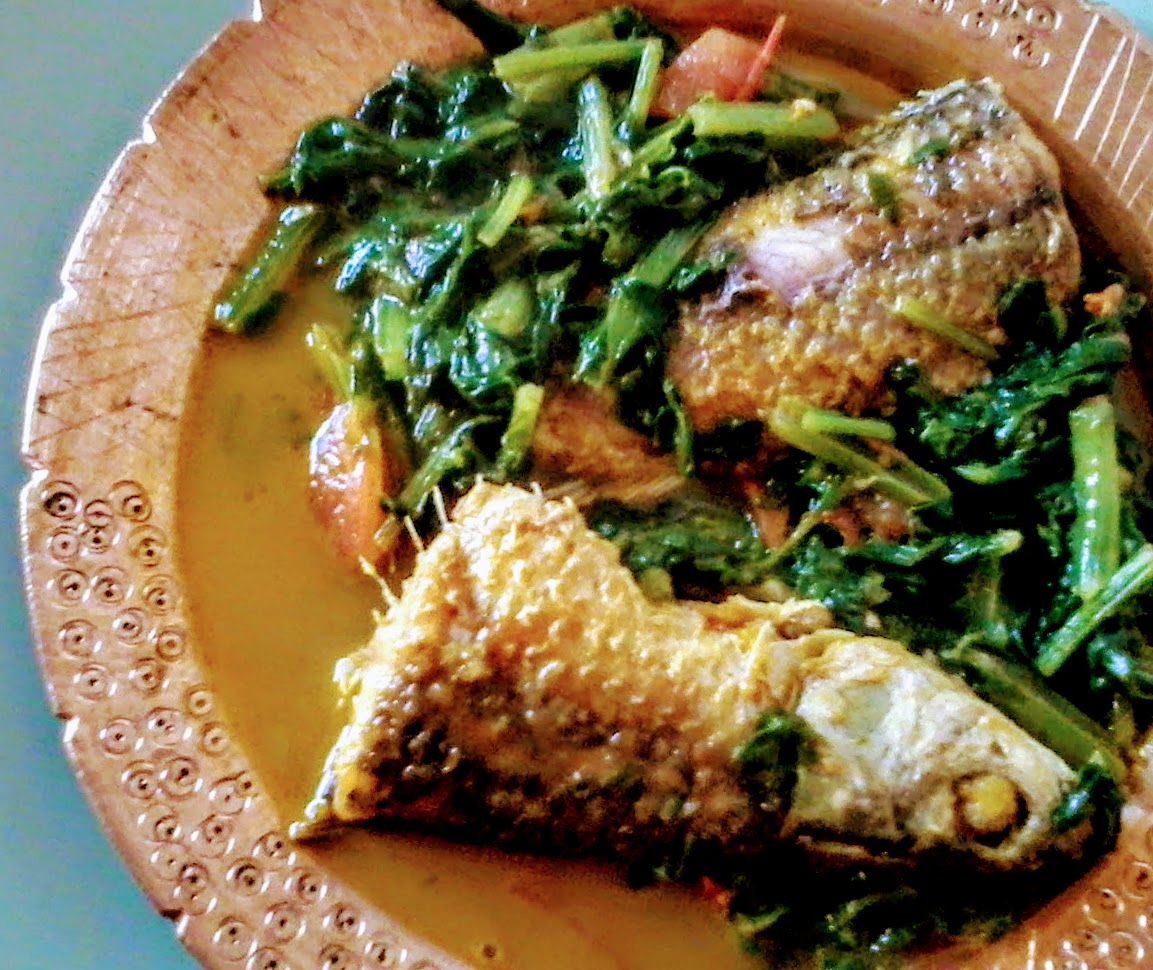 Iron-Rich fish curry with spinach