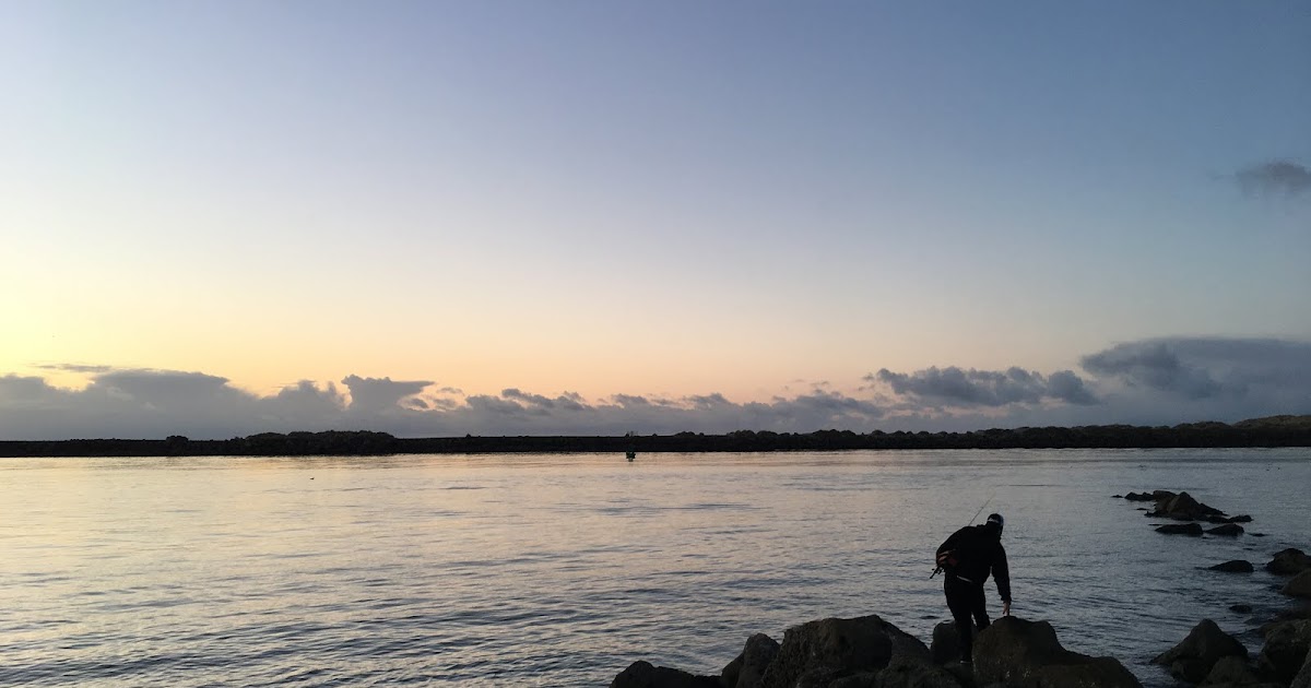 Fish Oregon Oregon Jetty Fishing