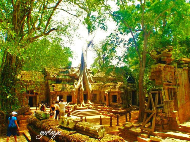 chicken-feet-like trees Ta Prohm by gurlayas.blogspot.com