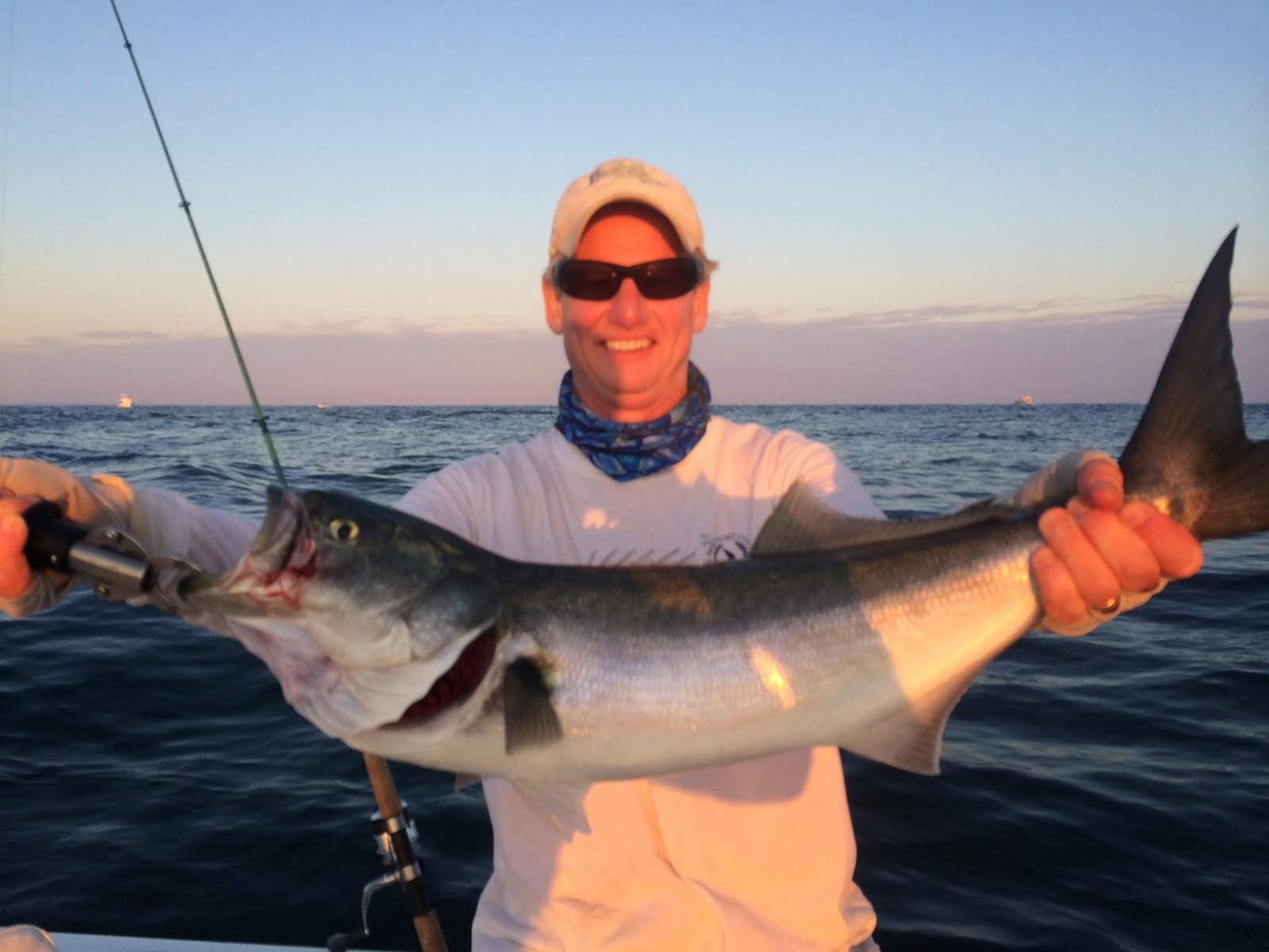 Jersey Cape Guide Service Montauk Fishing Report