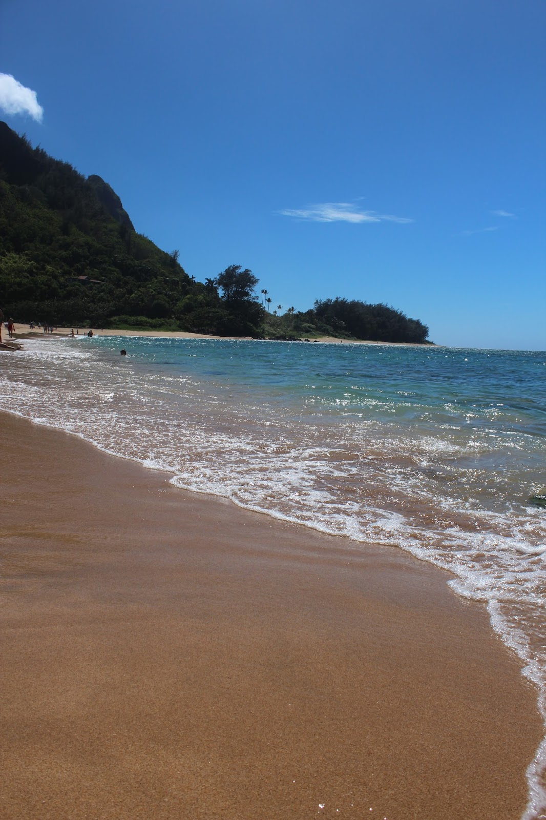 Oh, the Places You'll Go! Snorkeling Tunnels Beach