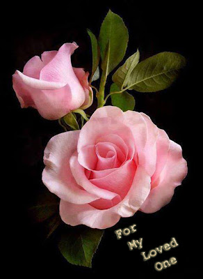 i love you with pink rose