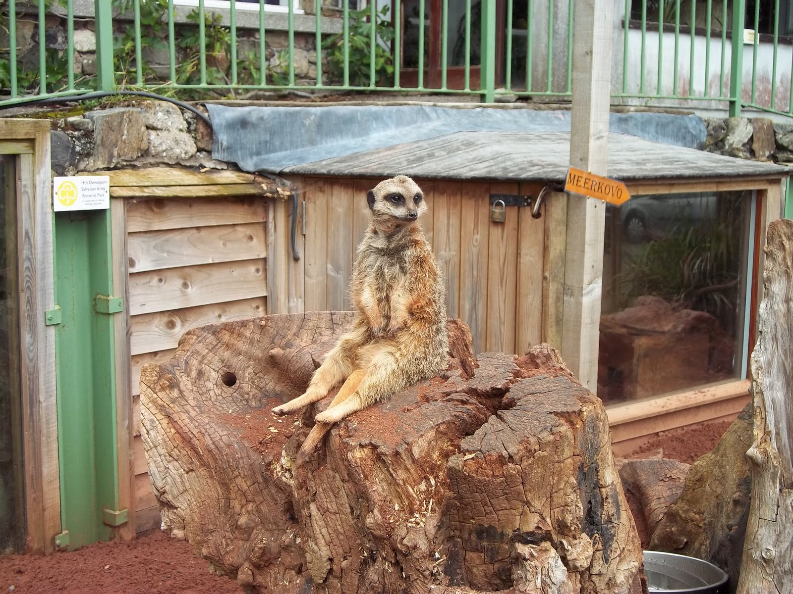 Epic Adventures Dartmoor Zoological Park