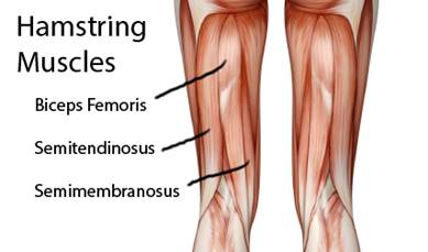 a vállízületek fájdalmának tünetei térdízületi kezelési komplex artrózisa