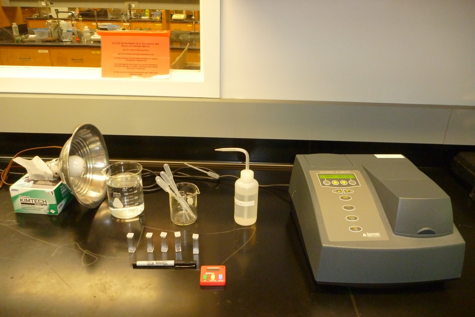 Honors Biology Lawrenceville DPIP Lab Set Up