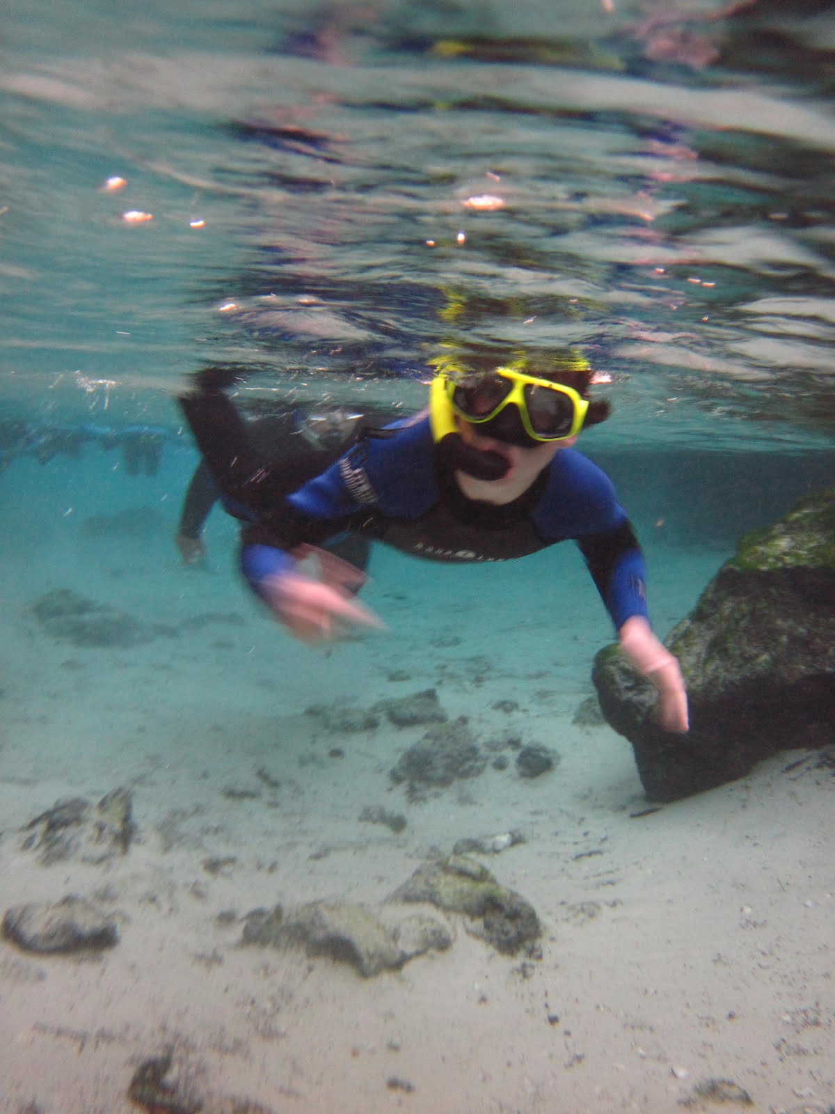 Richardson Family Journal: Snorkeling with Manatees
