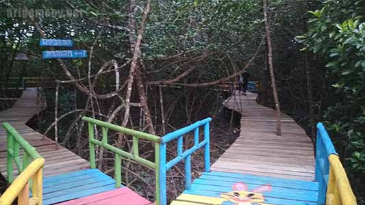 Kesore'an Berkungjung Ke Mangrove Polaria, Mendalok ...
