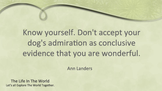 Top 10 Ann Landers Quotes - Part 1 of 2 | The Life in The World