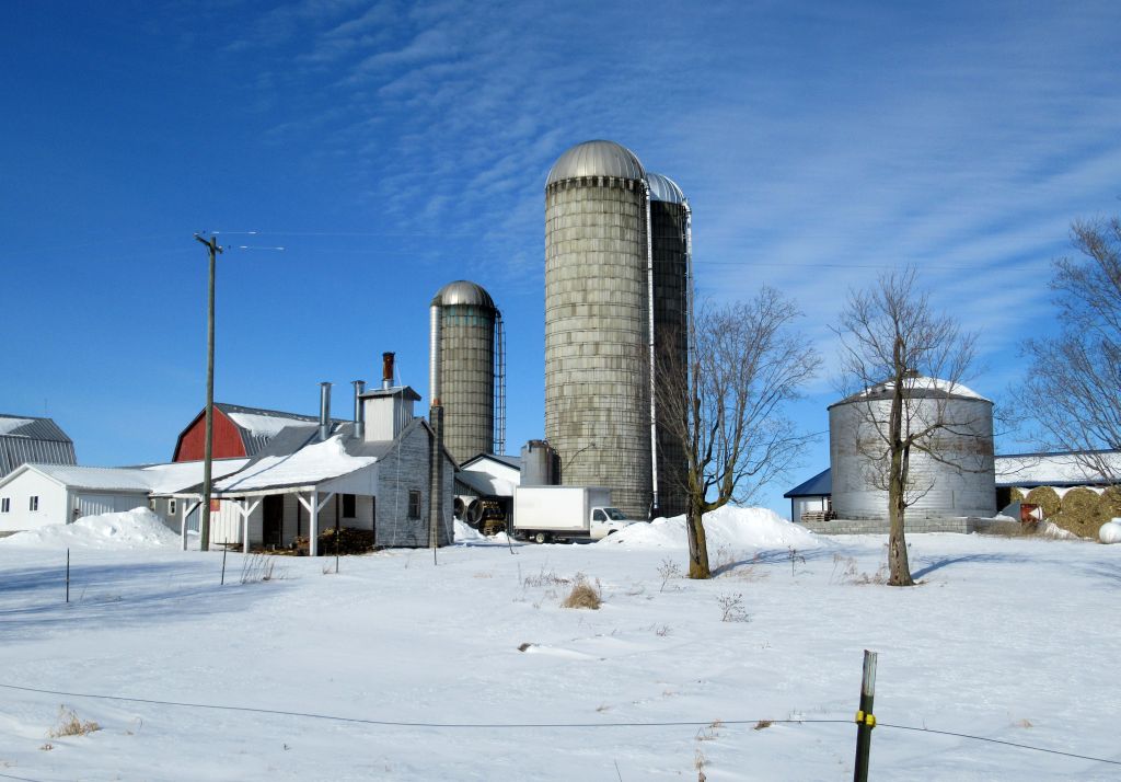 Windswept Adventure Rural Scenery In Constable, New York