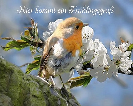 Merci S Bilderseite 2012