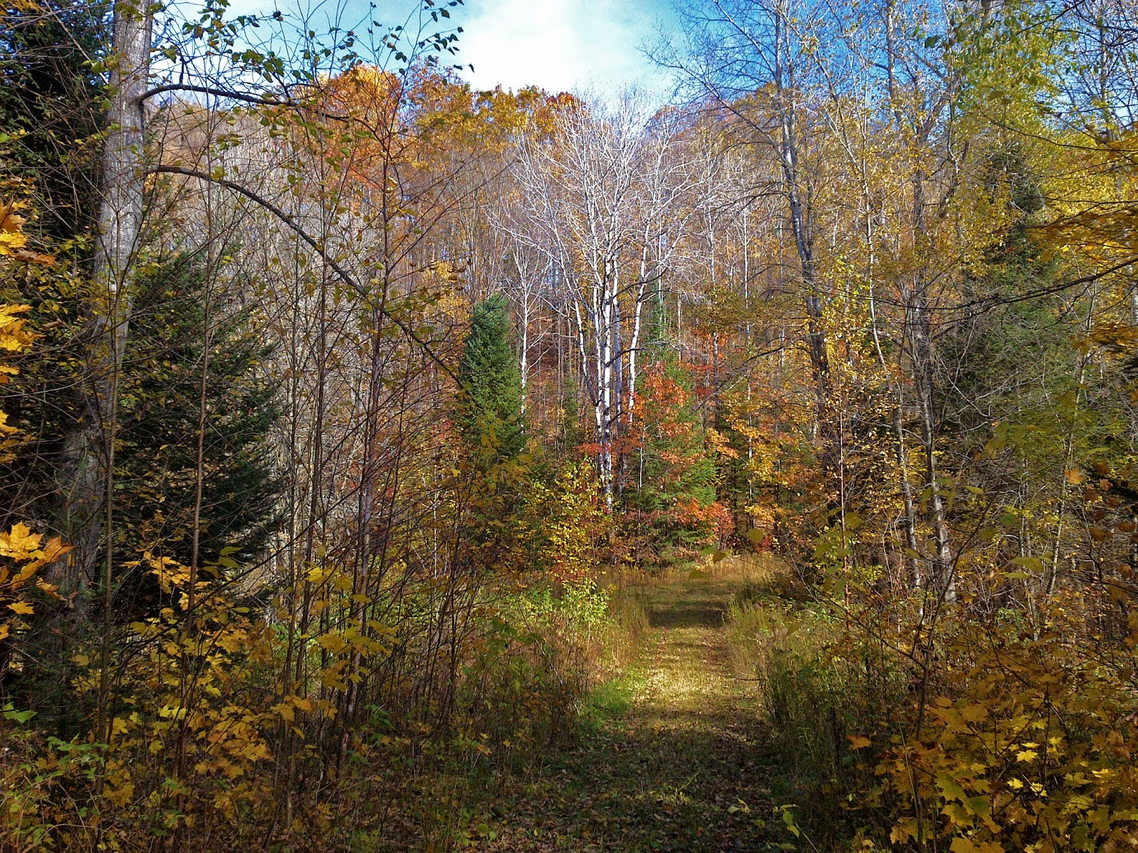 Heart and Sole Ice Age Trail fun