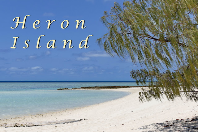 Heron Island Strand Beach Traumstrand Insel