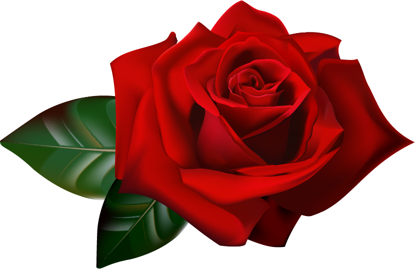 clipart rose rouge - photo #24