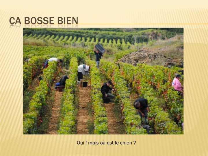 Vinification bourguignonne