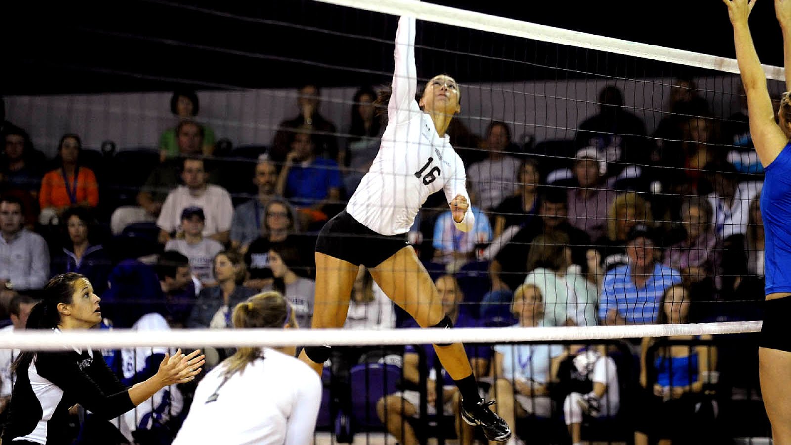 High Point Panthers women's volleyball Volley Choices