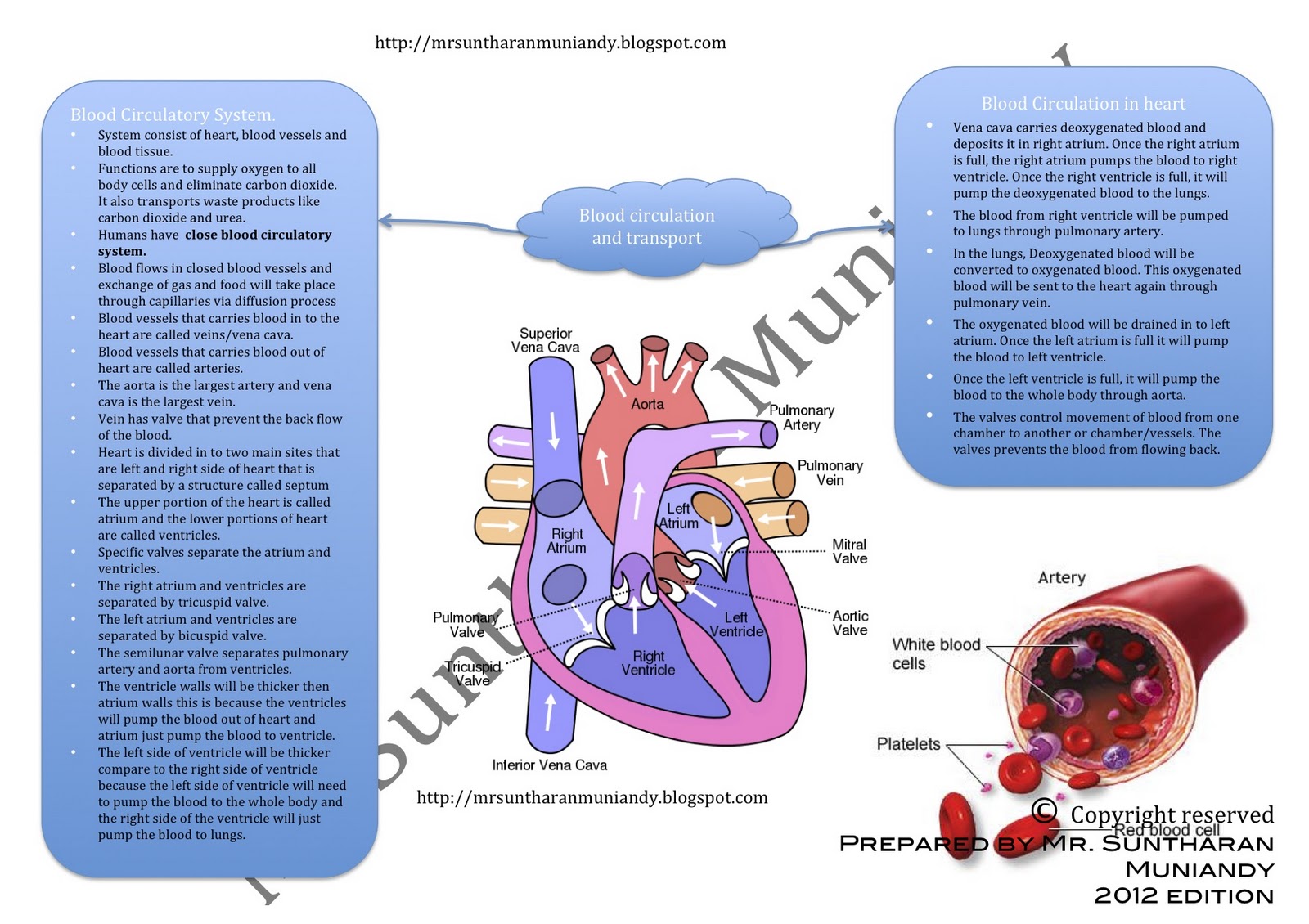 PMR & SPM Science and Biology Chapter 2 Blood circulation and