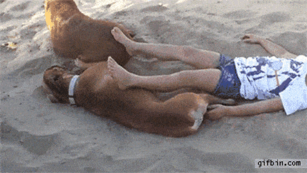 GaseousFantasticAnnelid-size_restricted.gif