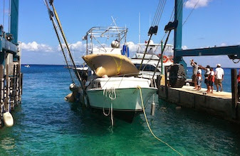 Daño al Arrecife: ecosistema marino de Cozumel sufre afectaciones por hundimiento del yate “Albatros”, “Crópora Palmata” y “Cuernos de Alce” afectados