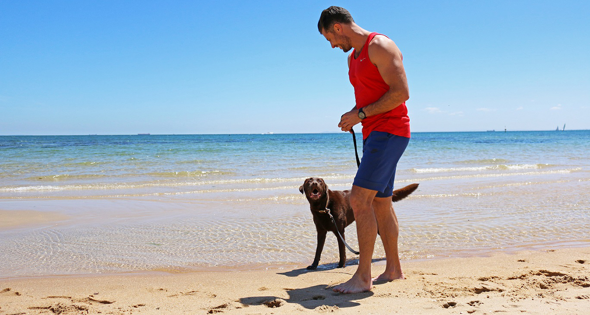 Petbarn's Biggest Pet Loser kicks off March 1 Australian Dog Lover