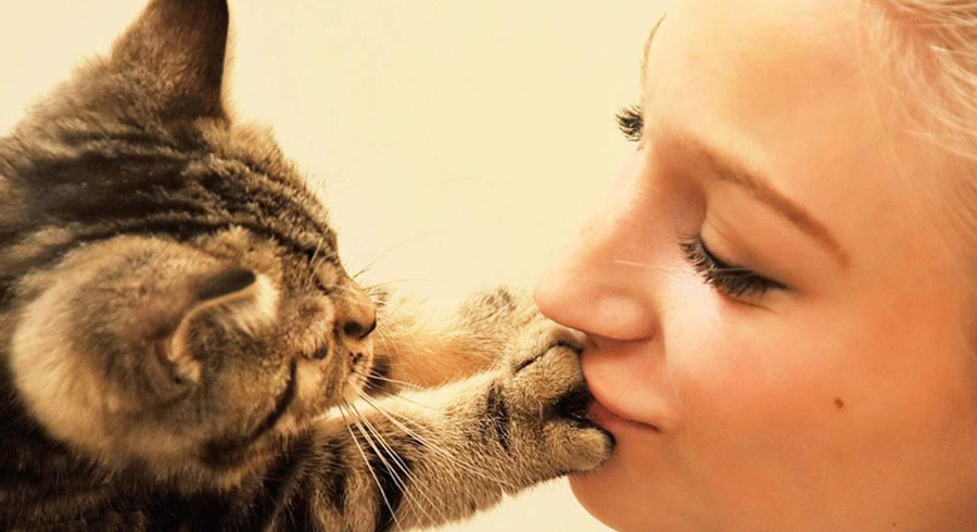 Gatoterapia: 5 beneficios de vivir con un gato 