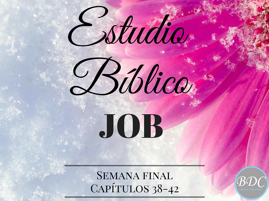 Estudio Biblico Job 42 | buenos d 237 as chicas semana final estudio b 237 blico de job Estudio Biblico Job 42 | buenos d 237 as chicas semana final estudio b 237 blico de job