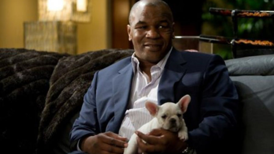 Lifestyle.gr: Mike Tyson: Υπό την επήρεια ναρκωτικών στα γυρίσματα του