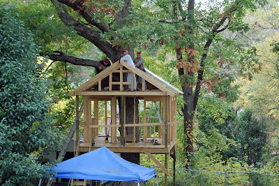 tree house plans