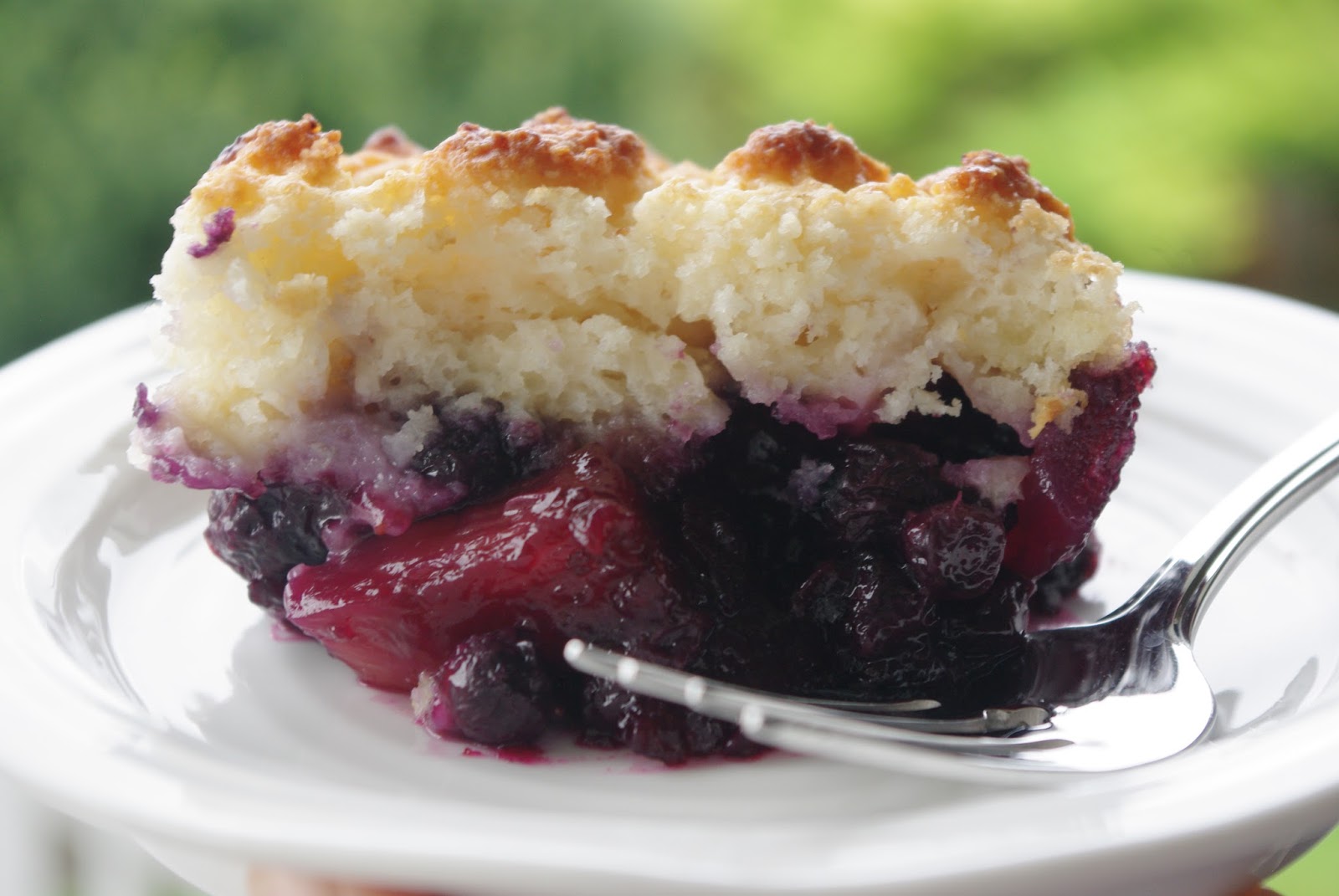 Mennonite Girls Can Cook Blueberry Pineapple Cobbler