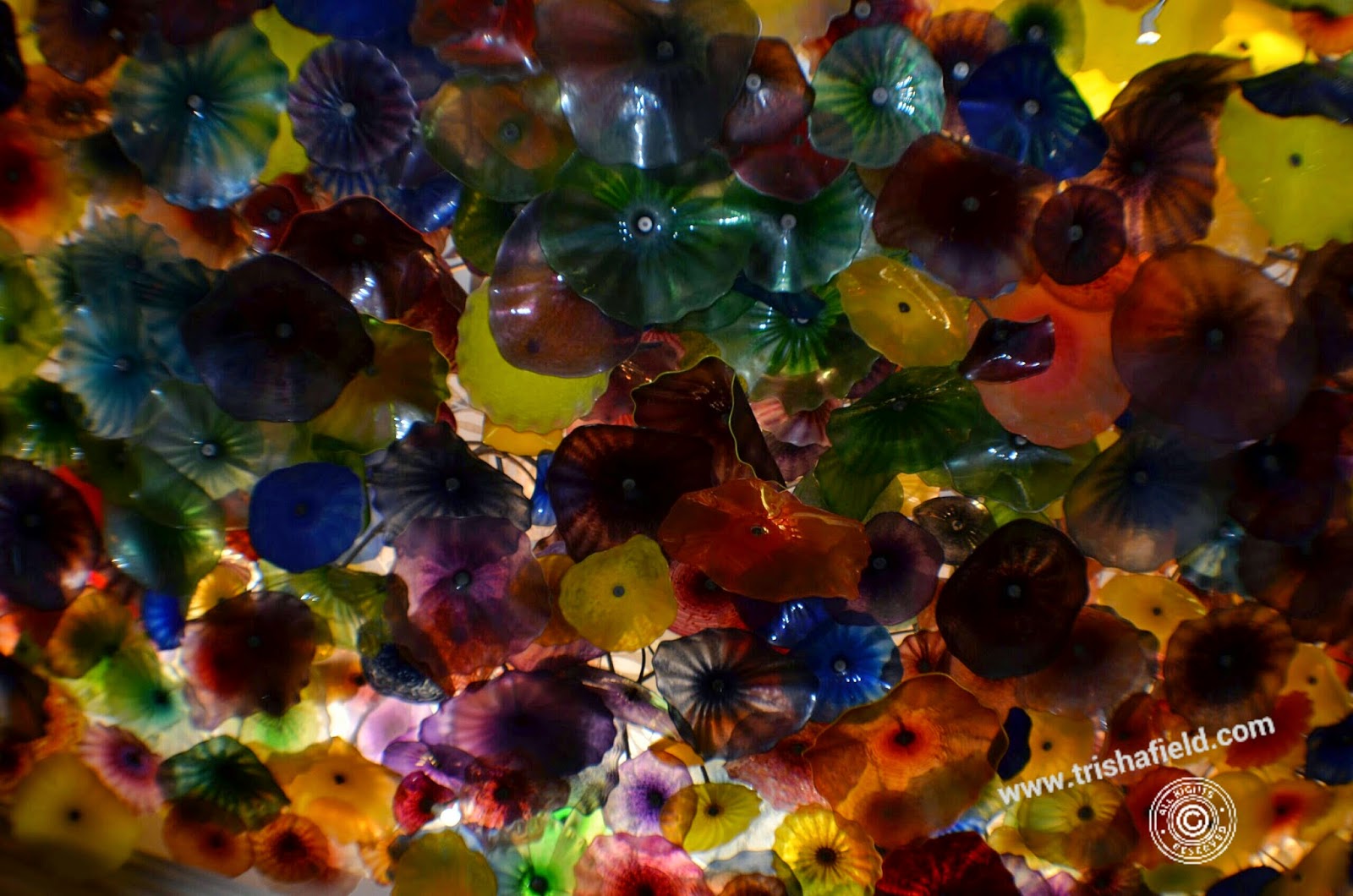 Flower Art at Bellagio, Las Vegas, Nevada