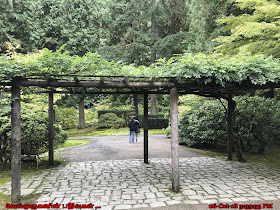 Modern Japanese garden Portland