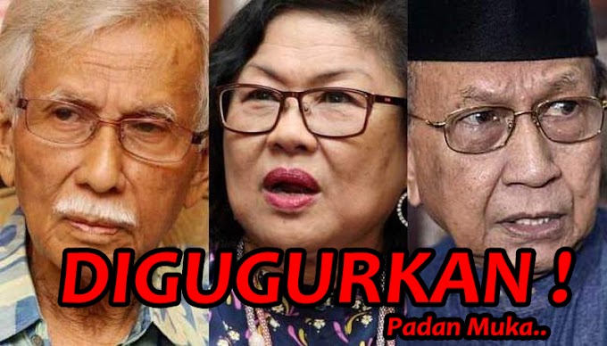 Keahlian UMNO Rafidah Aziz, Daim & Rais Yatim Digugurkan Kerana Bersekongkol Dengan PH #JomBN #TsunamiPhitnah