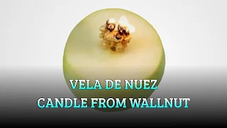 Vela de nuez, OIL WICK, Candle from wallnut