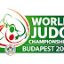 CAMPEONATO DEL MUNDO ABSOLUTO - BUDAPEST 2017. <BR>Del 28 de agosto al 3 de septiembre.