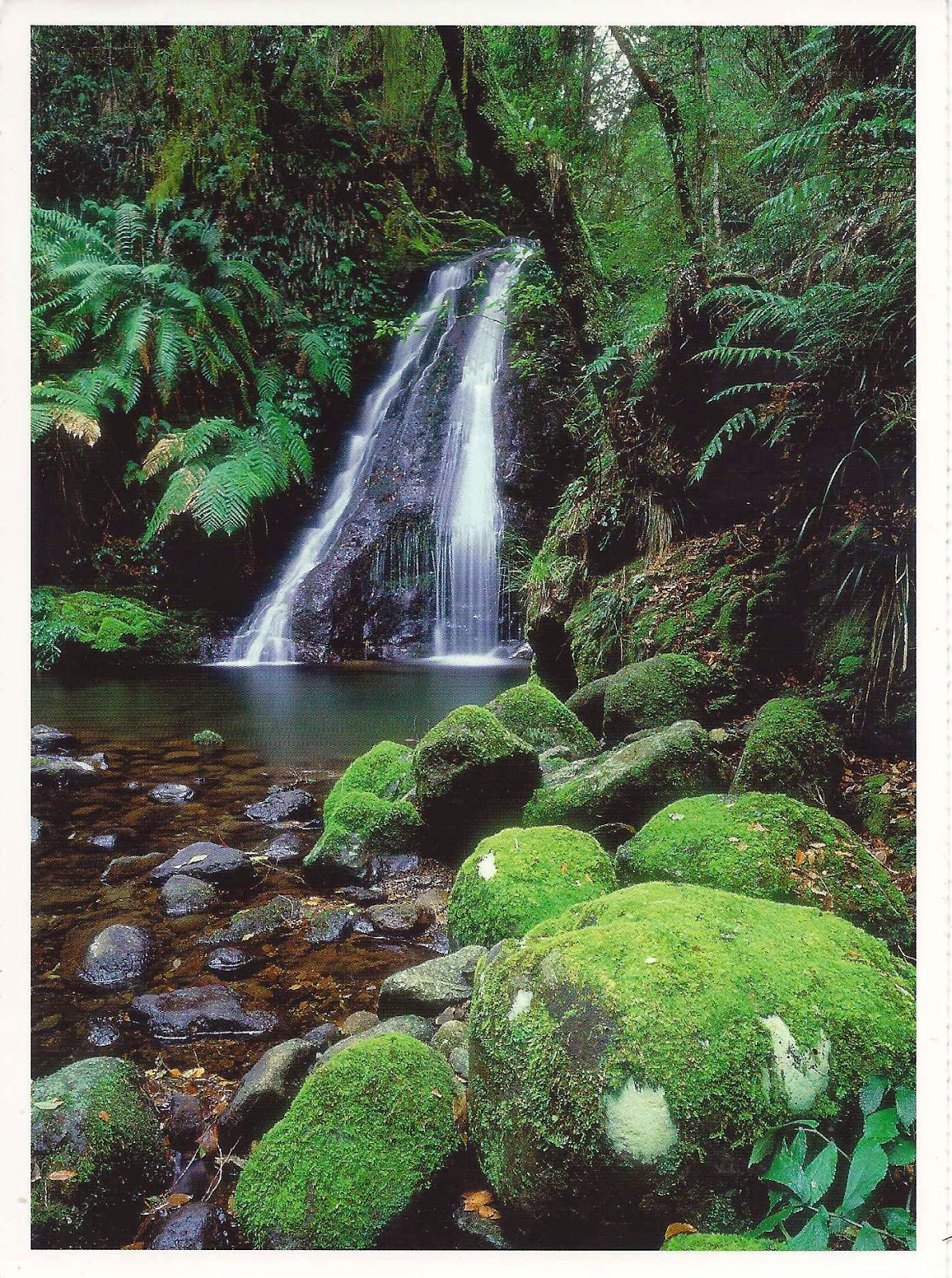 A Journey Of Postcards New England Wilderness National Park Australia