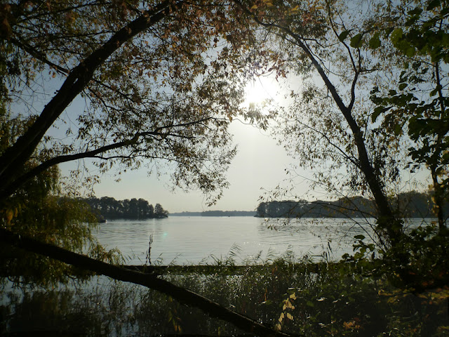 Kurz vor Sonnenuntergang: Blick auf einen See durch Bäume hindurch, an denen nur noch wenige Blätter hängen. Im Hintergrund die Baumlinien des Ufers.